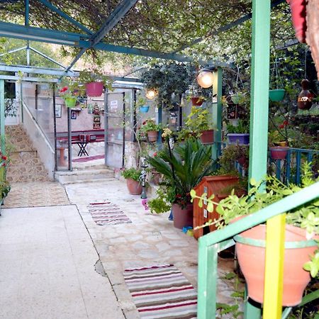 بيت الطبيعة Nature House Джераш Екстер'єр фото