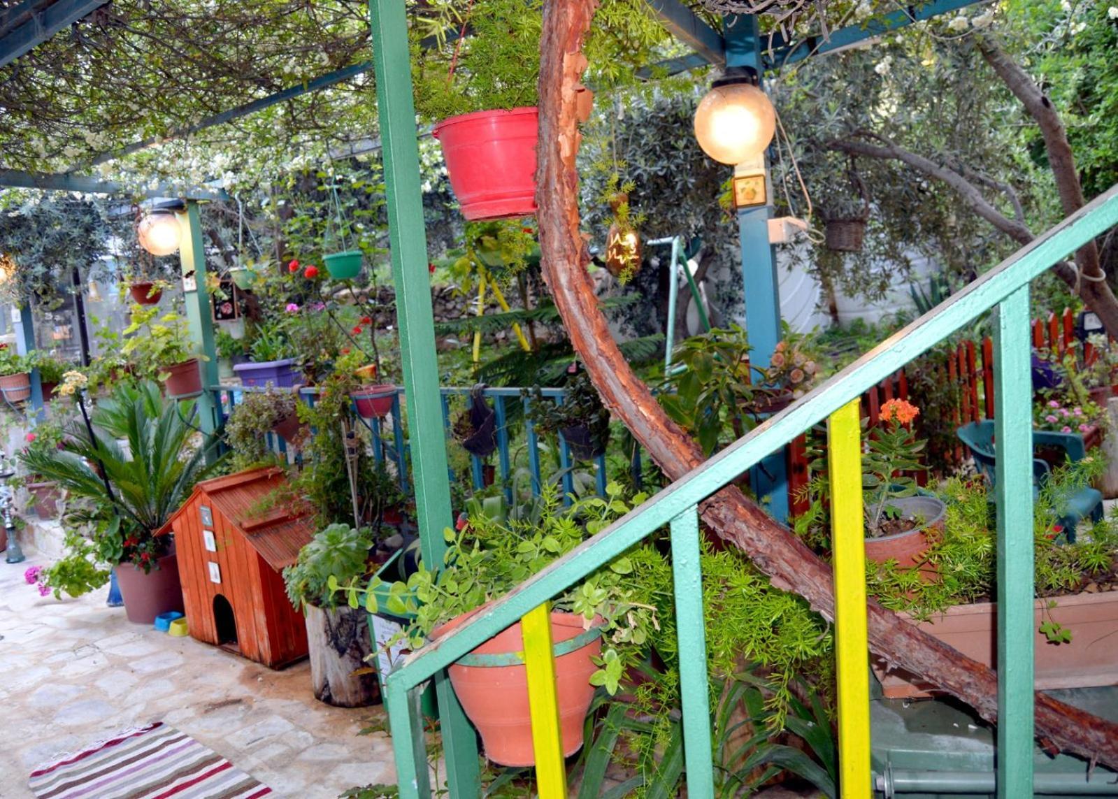 بيت الطبيعة Nature House Джераш Номер фото